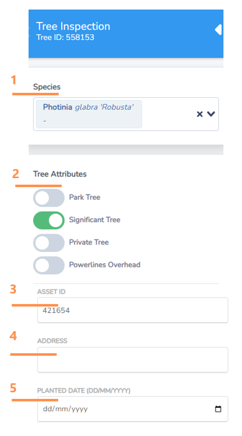 Review tree information