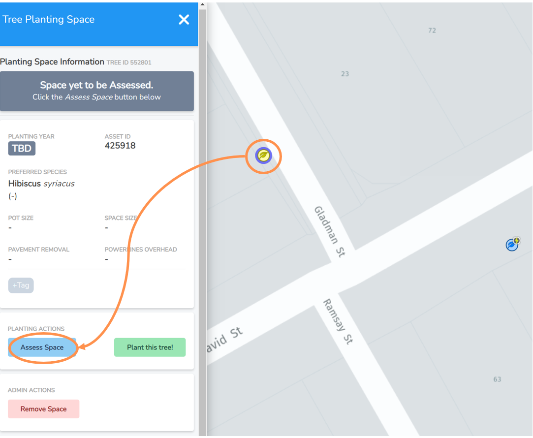 Assess Planting Space